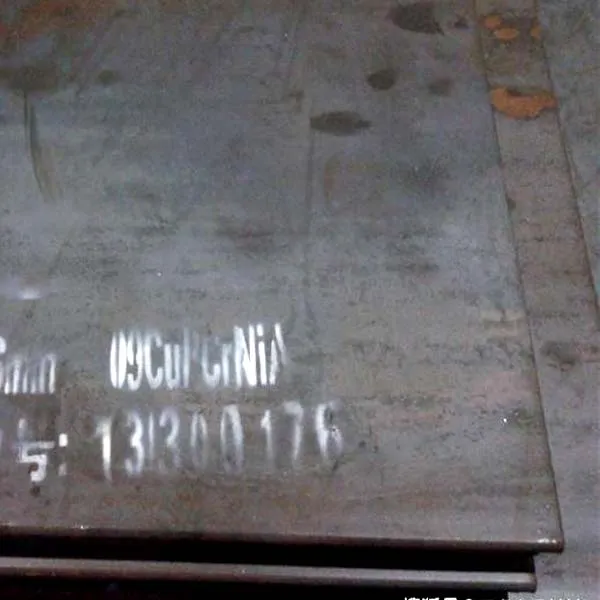 09CUPCRNI-A ماحولیاتی سنکنرن مزاحم اسٹیل