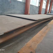 NM 500 پہنیں پلیٹ